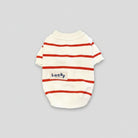 Pull rayé pour chien blanc avec bandes rouges et col montant pour petit animal
