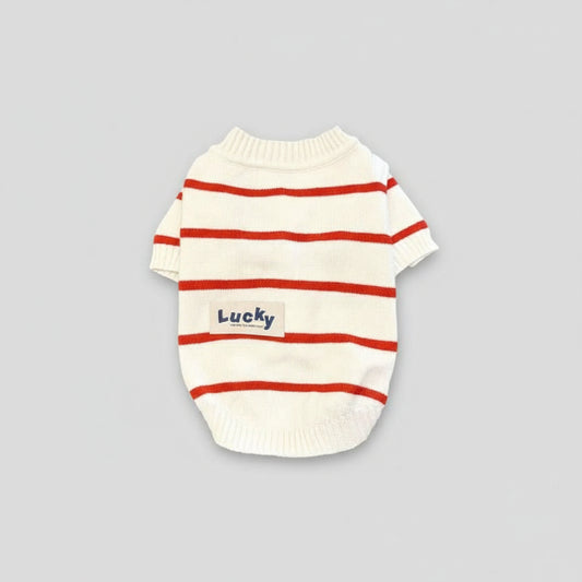 Pull rayé pour chien blanc avec bandes rouges et col montant pour petit animal