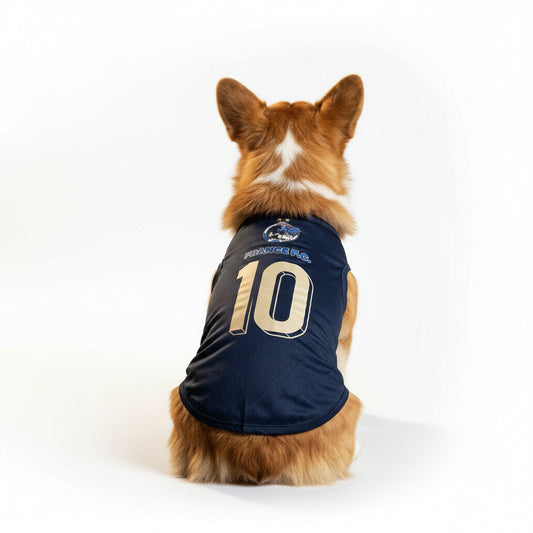 Maillot de football pour chien bleu avec le numéro 10 à l'arrière pour un look sportif