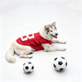 Load image into Gallery viewer, Chien heureux en maillot football pour chien rouge avec deux ballons de football sur un fond blanc
