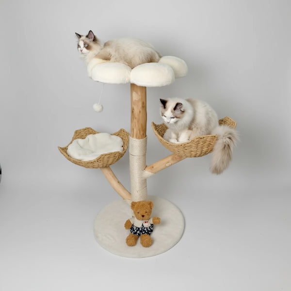 arbre à chat en bois massif Oscar et Plume avec coussins peluche paniers tressés et plateforme pour deux chats