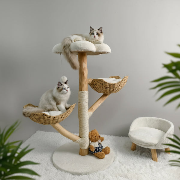 Salon minimaliste avec arbre à chat en bois massif Oscar et Plume, deux chats, paniers en osier et coussins doux