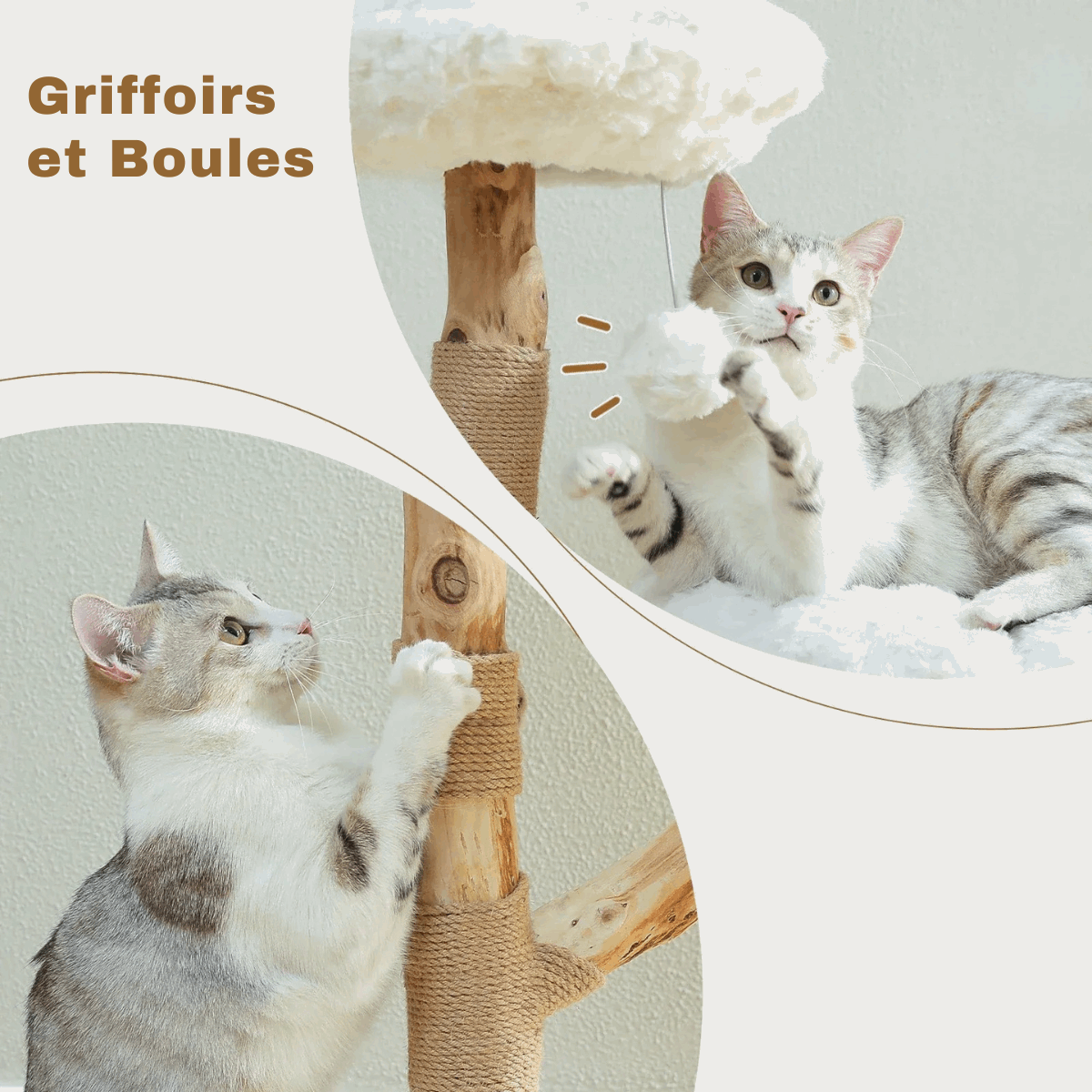 Chatons jouant sur arbre à chat en bois naturel avec plateforme peluche et poteaux en sisal Oscar et Plume