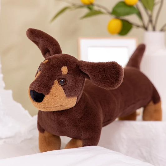 Oscar et Plume coussin teckel en peluche marron long doux pour décoration intérieure et soutien lombaire