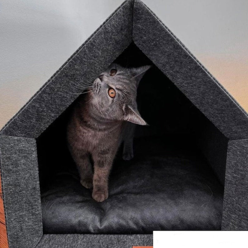 Maison design et écologique pour chien et chat Oscar et Plume