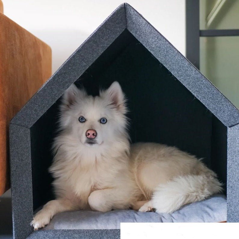 Maison design et écologique pour chien et chat Oscar et Plume