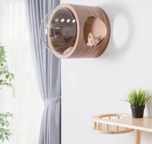 Maison design pour chat en bois suspendue au mur avec bulle transparente pour observation
