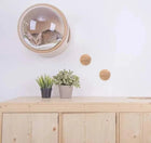 Maison design pour chat suspendue au mur avec un chat à l'intérieur et deux accroches murales en bois