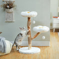 Charger l'image dans la visionneuse de la galerie, arbre à chat en bois Oscar et Plume avec plateaux nuageux doublure peluche zones à griffer sisal et jouets
