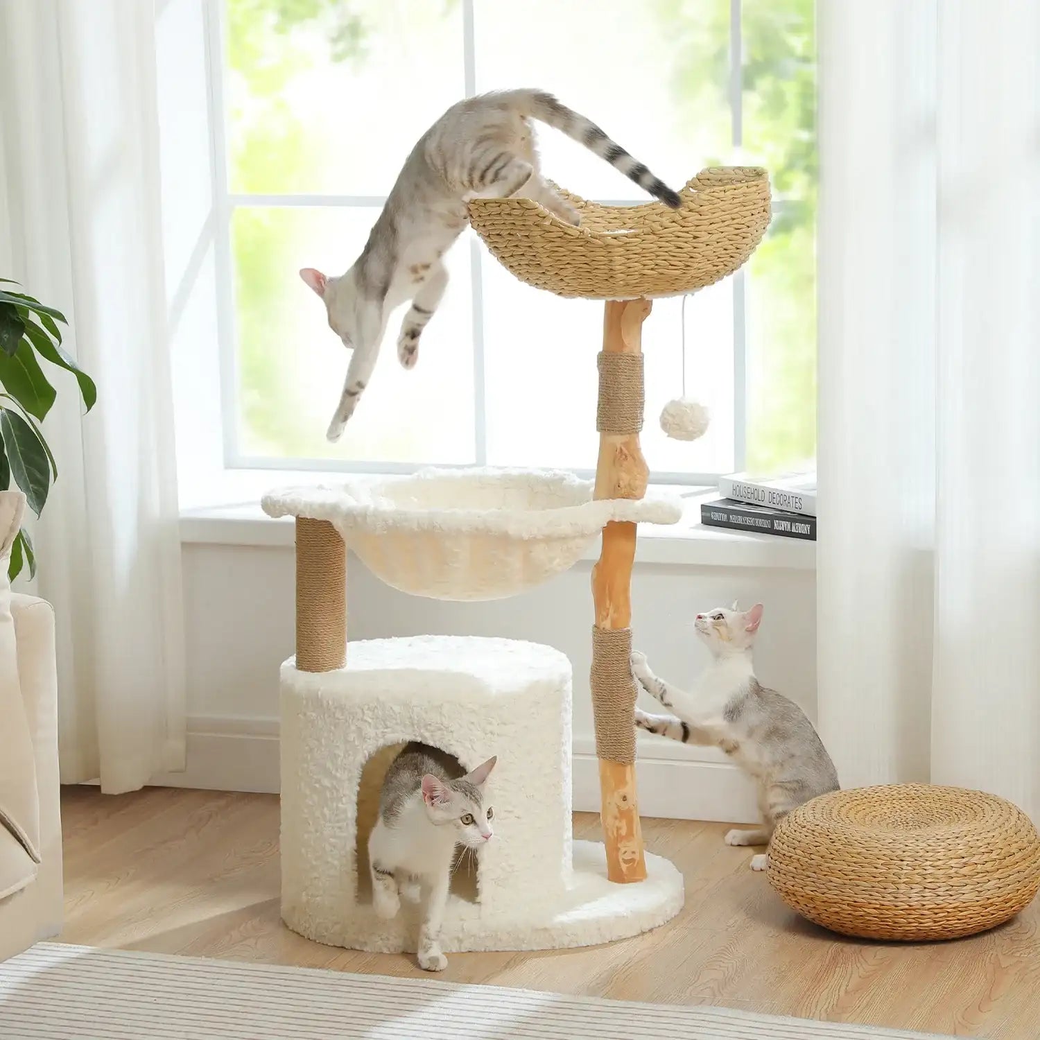arbre à chat en bois naturel Oscar et Plume avec hamac tressé plateforme cachette en peluche pour chats joueurs