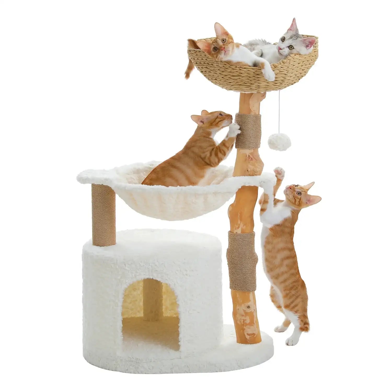 arbre à chat en bois naturel Oscar et Plume avec hamac panier sisal maison douillette pour plusieurs chats