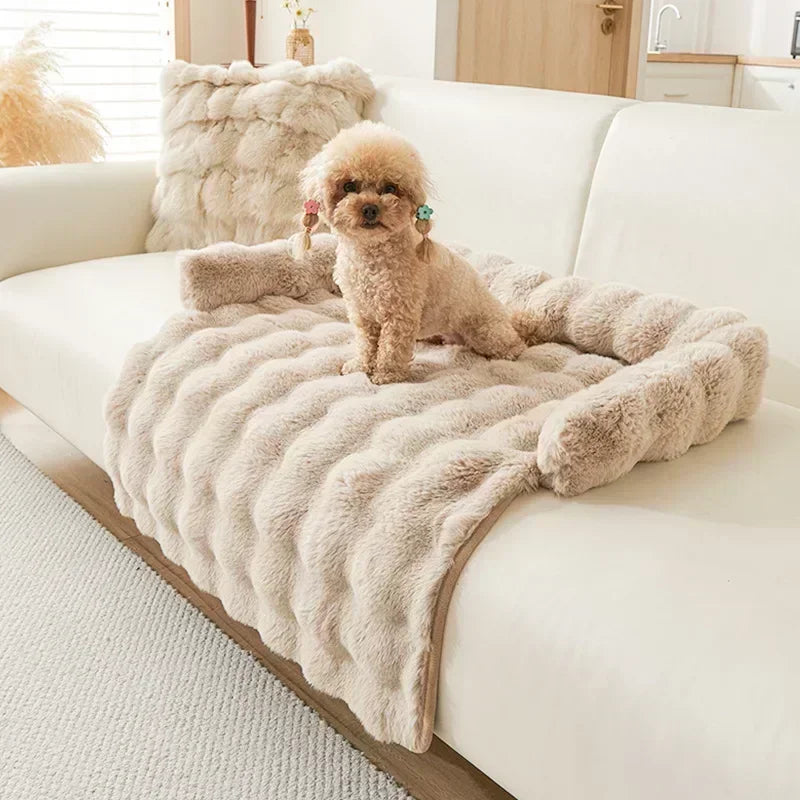 Chien caniche assis sur couverture de protection pour canapé en fausse fourrure beige Oscar et Plume design moelleux