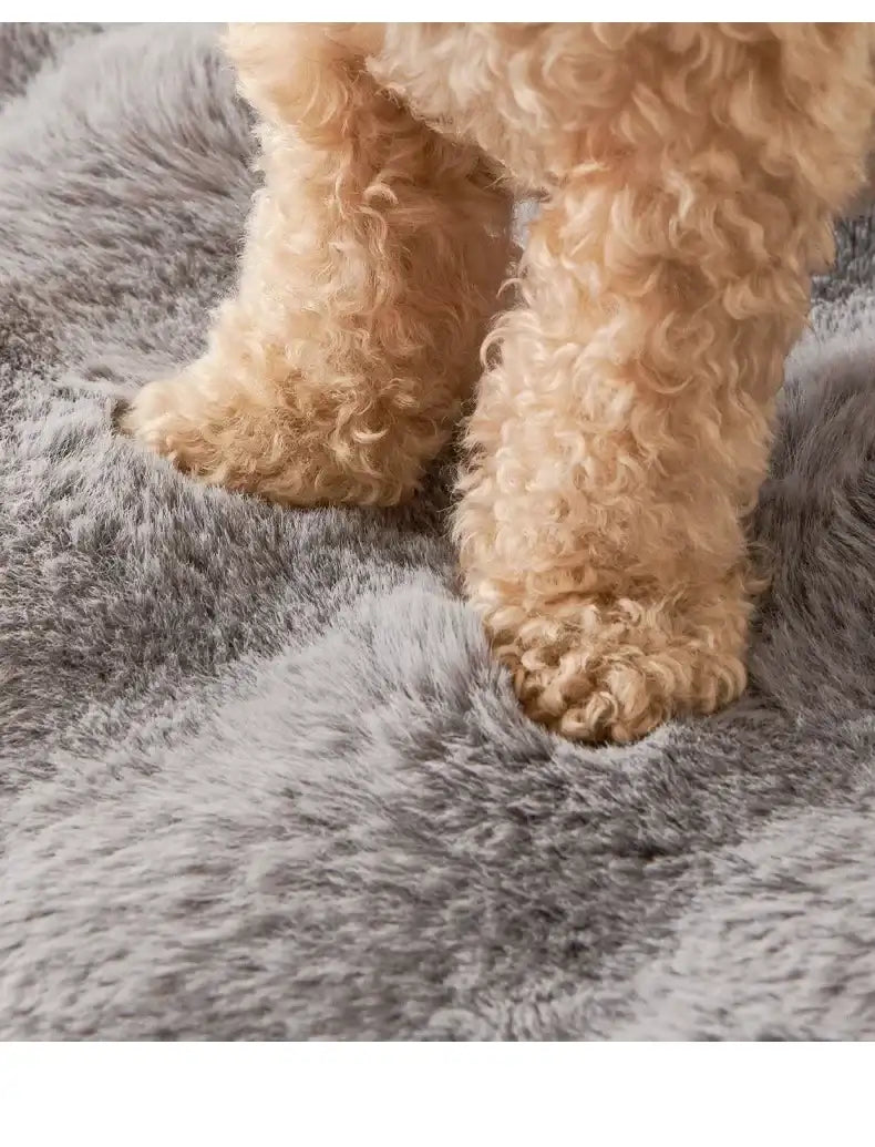 Chiot posant ses pattes sur une couverture de protection pour canapé en fausse fourrure grise Oscar et Plume