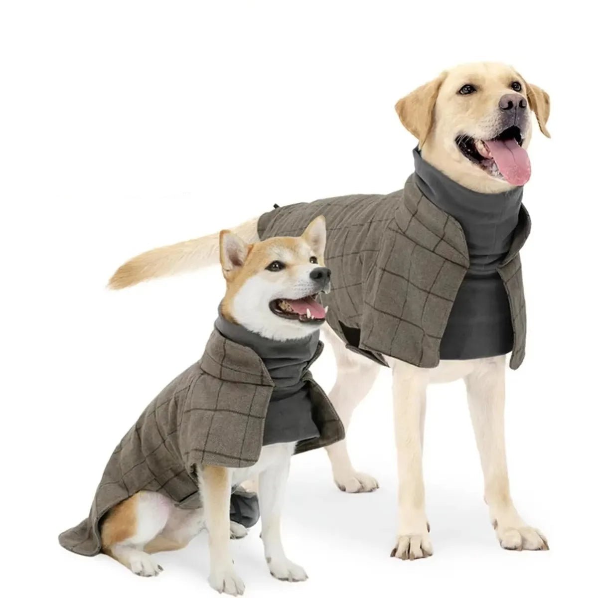 Manteau Chaud à Carreaux Anglais pour Chien Oscar et Plume S