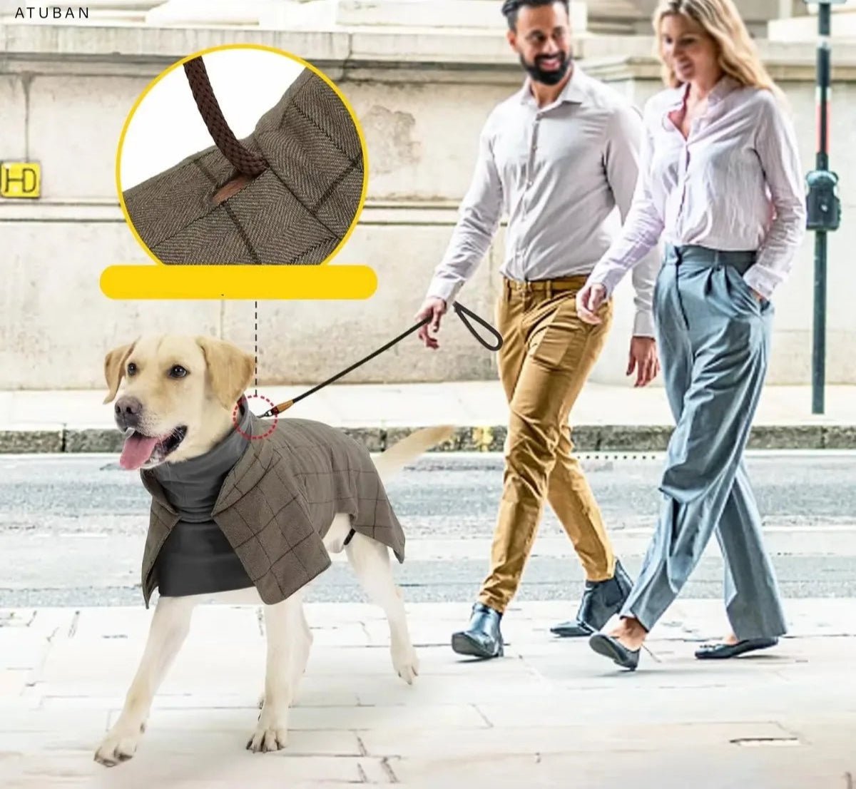 Manteau Chaud à Carreaux Anglais pour Chien Oscar et Plume S