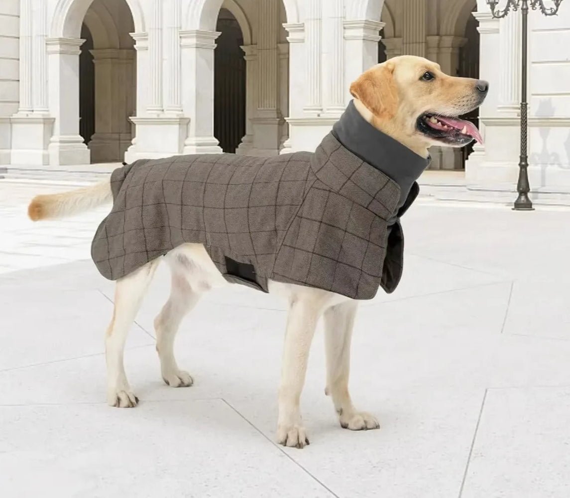 Manteau Chaud à Carreaux Anglais pour Chien Oscar et Plume S