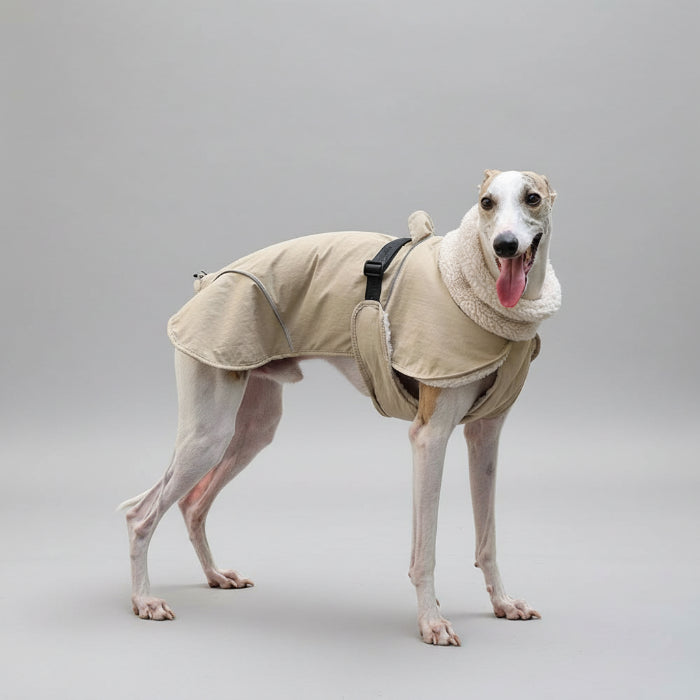 Manteau chaud pour lévrier de Oscar et Plume, beige avec col en fourrure pour le confort et la chaleur