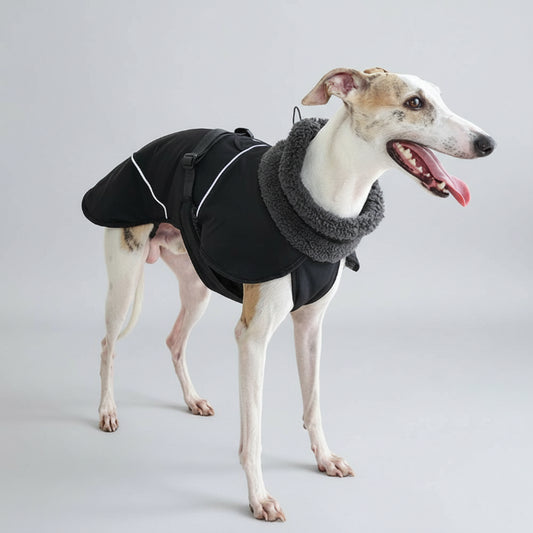 Manteau chaud pour lévrier en noir avec col en fausse fourrure d'Oscar et Plume