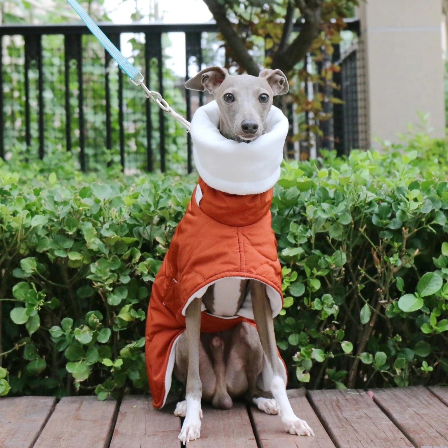 Manteau d'hiver doublé pour grand chien - Oscar et Plume