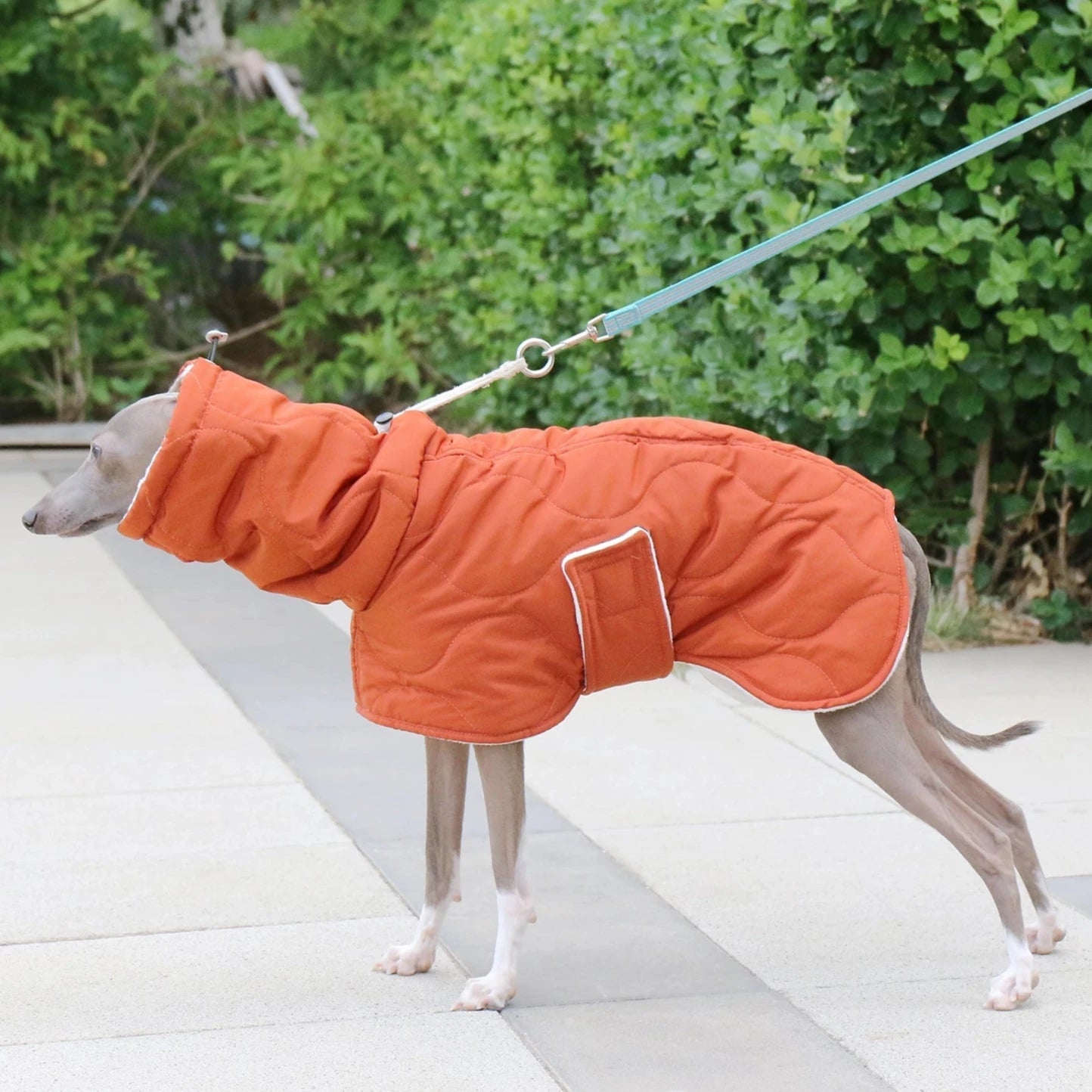 Manteau d'hiver doublé pour grand chien - Oscar et Plume