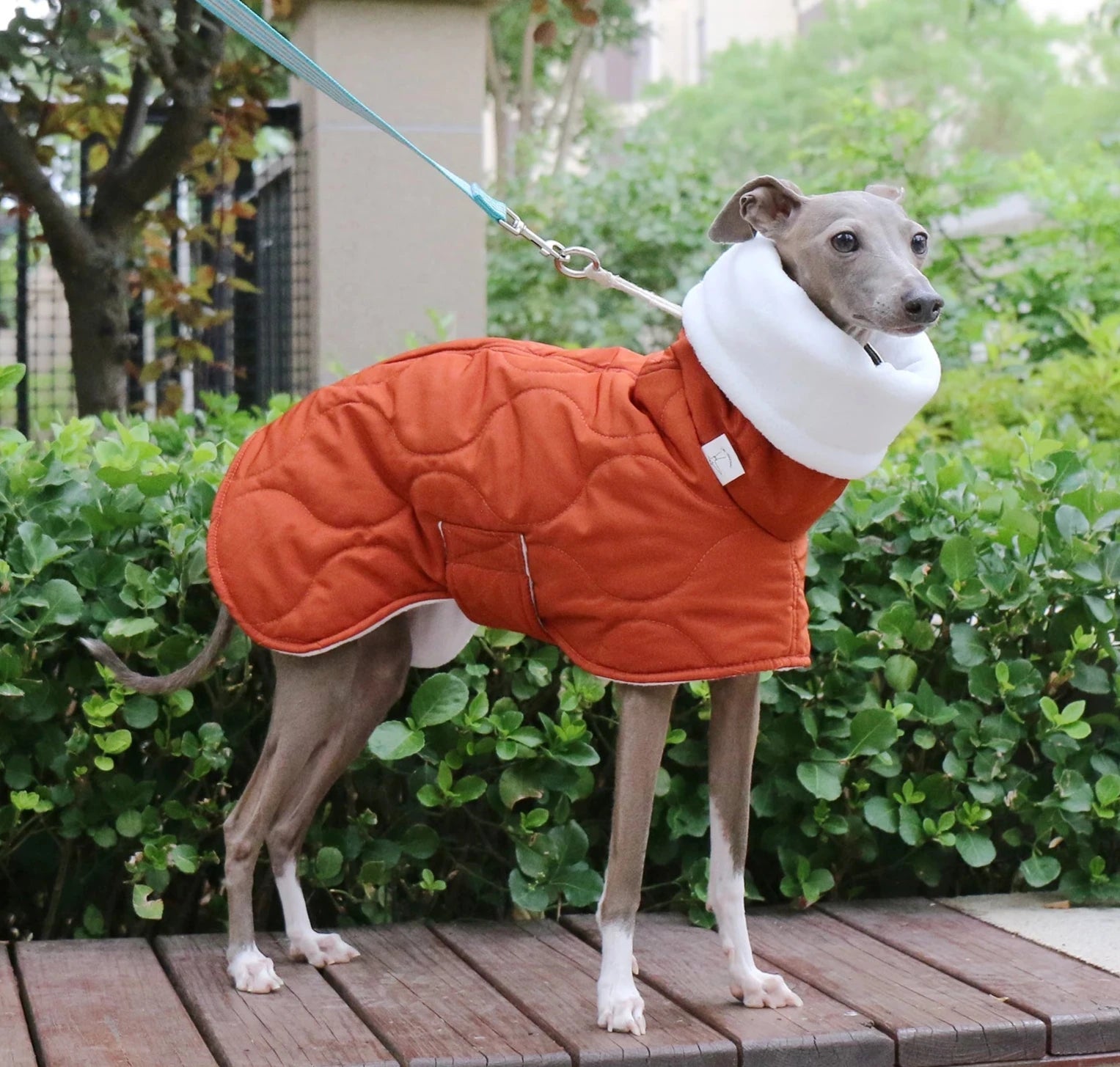 Manteau d'hiver doublé pour grand chien - Oscar et Plume