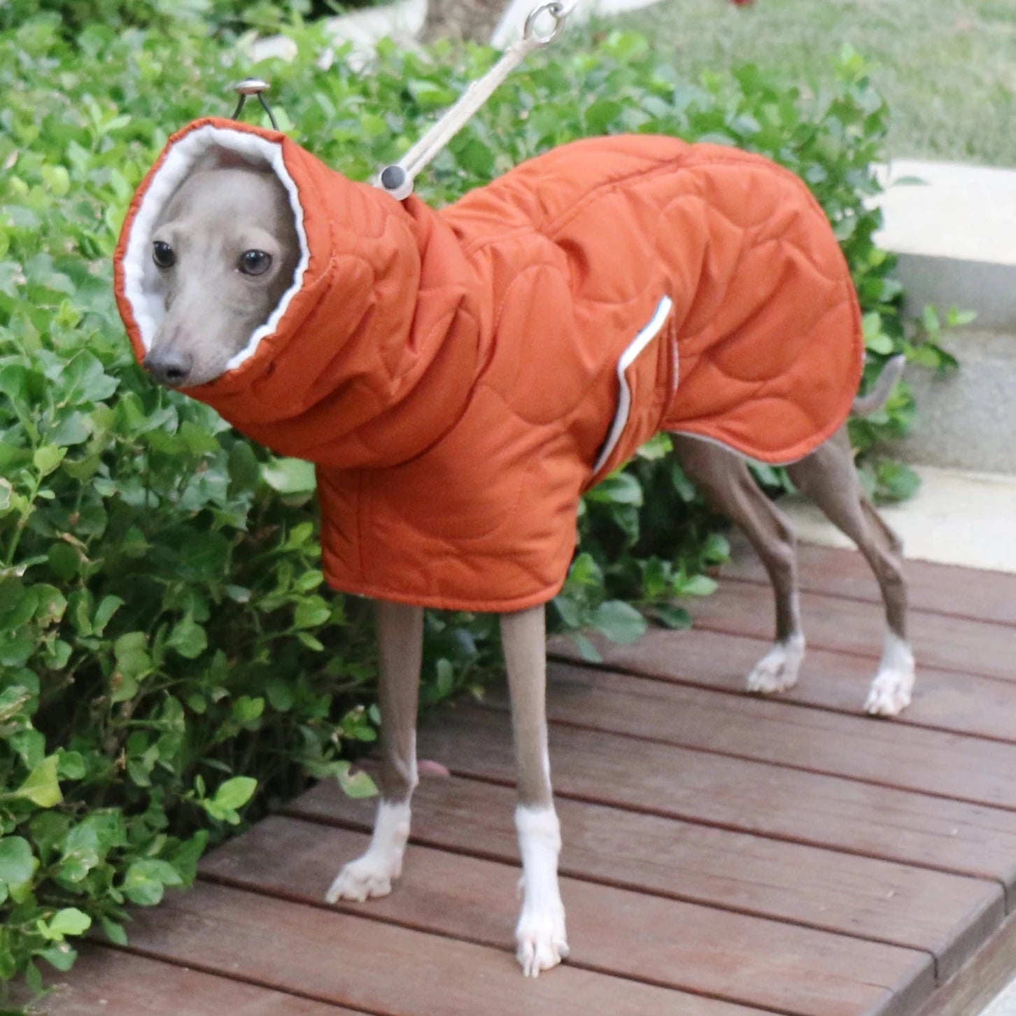 Manteau d'hiver doublé pour grand chien - Oscar et Plume