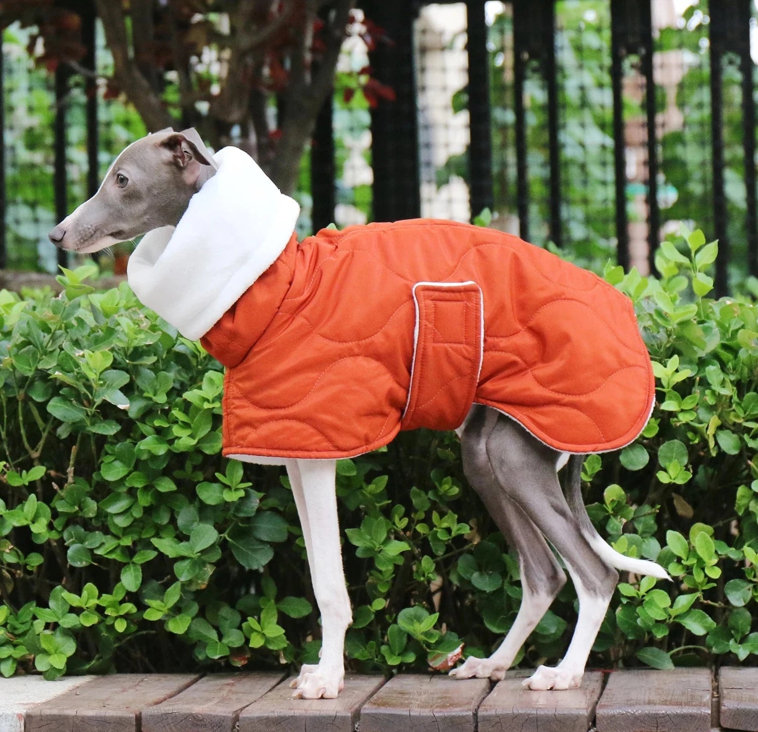 Manteau d'hiver doublé pour grand chien - Oscar et Plume