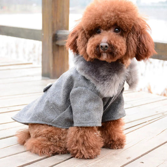 Manteau élégant avec fausse fourrure pour chien - Oscar et Plume