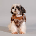 Charger l'image dans la visionneuse de la galerie, Manteau fausse fourrure pour petit chien de Oscar et Plume en couleur marron avec col en simili cuir
