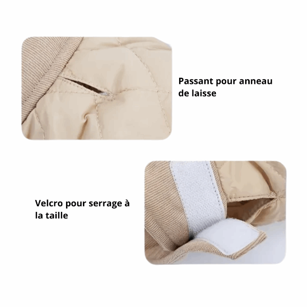 Détails du manteau hiver pour teckel avec passants pour laisse et velcro à la taille