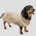 Carica l'immagine nel visualizzatore della galleria, Oscar et Plume manteau hiver pour teckel beige matelasse avec col chaud et poche pour promenades

