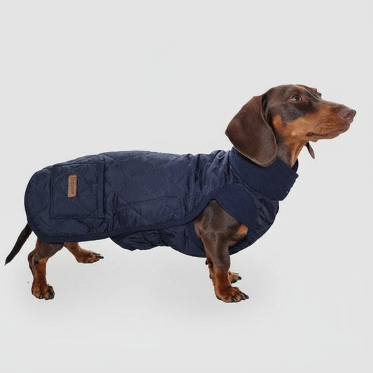 Oscar et Plume manteau hiver pour teckel bleu marine matelassé à col montant protection chaude et ajustée