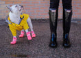 Load image into Gallery viewer, Manteau Imperméable Pour Chien Oscar et Plume Jaune / S
