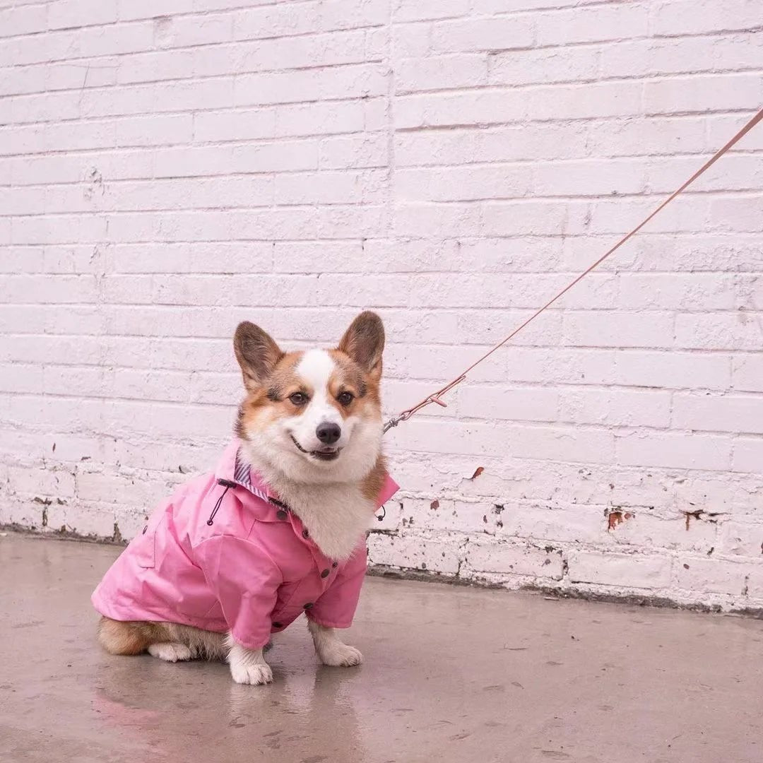 Manteau Imperméable Pour Chien Oscar et Plume Jaune / S