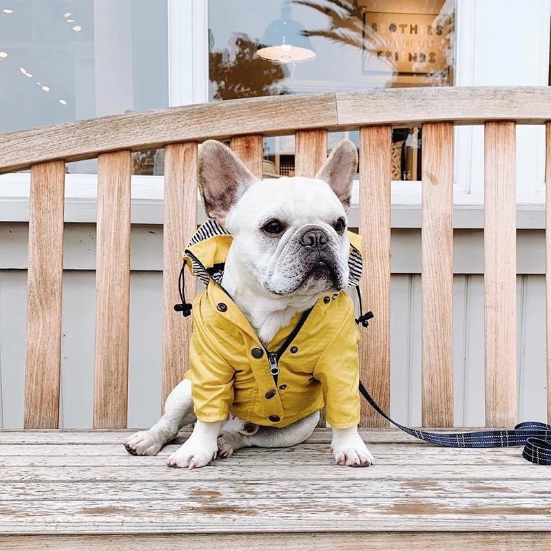 Manteau Imperméable Pour Chien Oscar et Plume Jaune / S