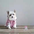 Load image into Gallery viewer, Manteau Imperméable Pour Chien Oscar et Plume Jaune / S
