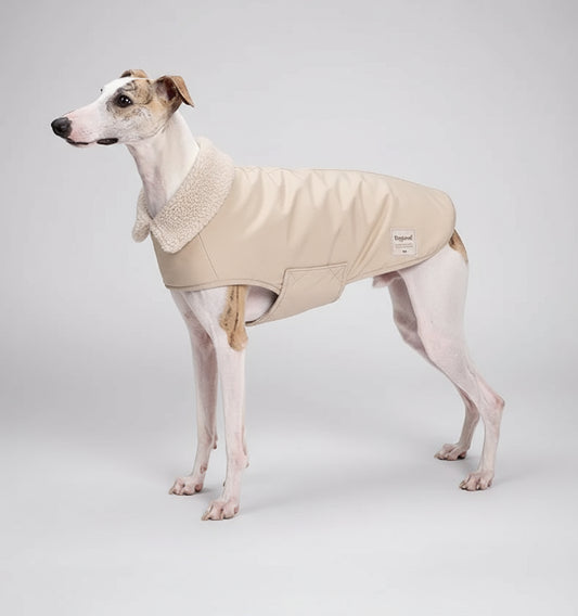 Manteau imperméable pour chien Oscar et Plume en gris avec col douillet pour chiens élégants
