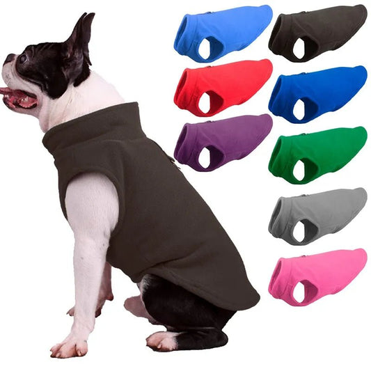 Manteau Pour Bouledogue