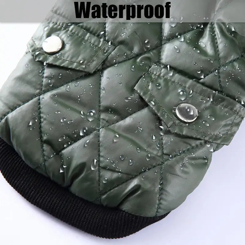 Manteau pour chien avec capuche vert imperméable en tissu matelassé avec boutons argentés