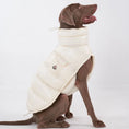 Charger l'image dans la visionneuse de la galerie, Manteau pour chien Oscar et Plume en blanc, chaud et confortable, parfait pour l'hiver.
