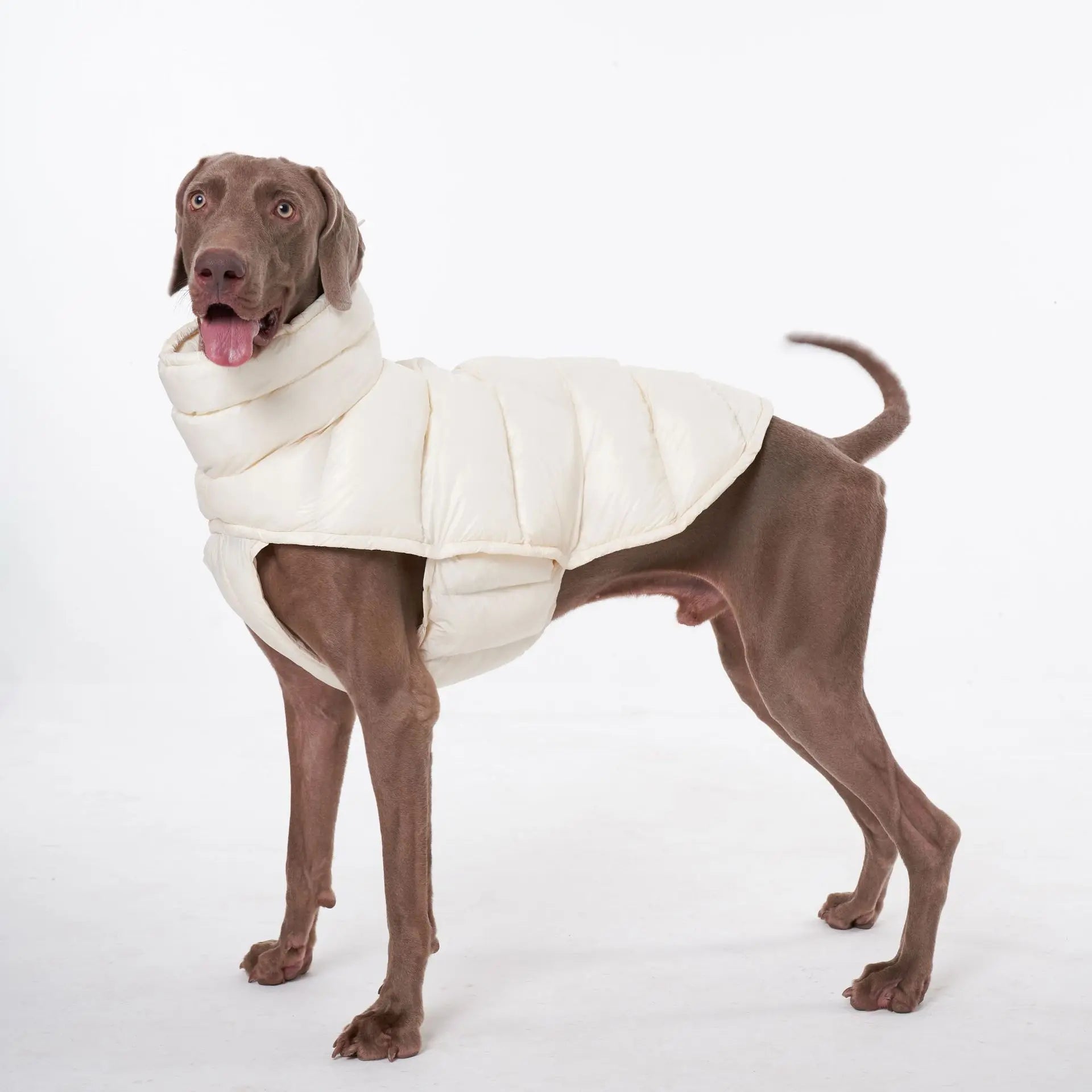 Manteau D'hiver Chaud Per Una Noir Et Blanc Taille 8 - Occasion Très Bon état, Style élégant Et Pratique