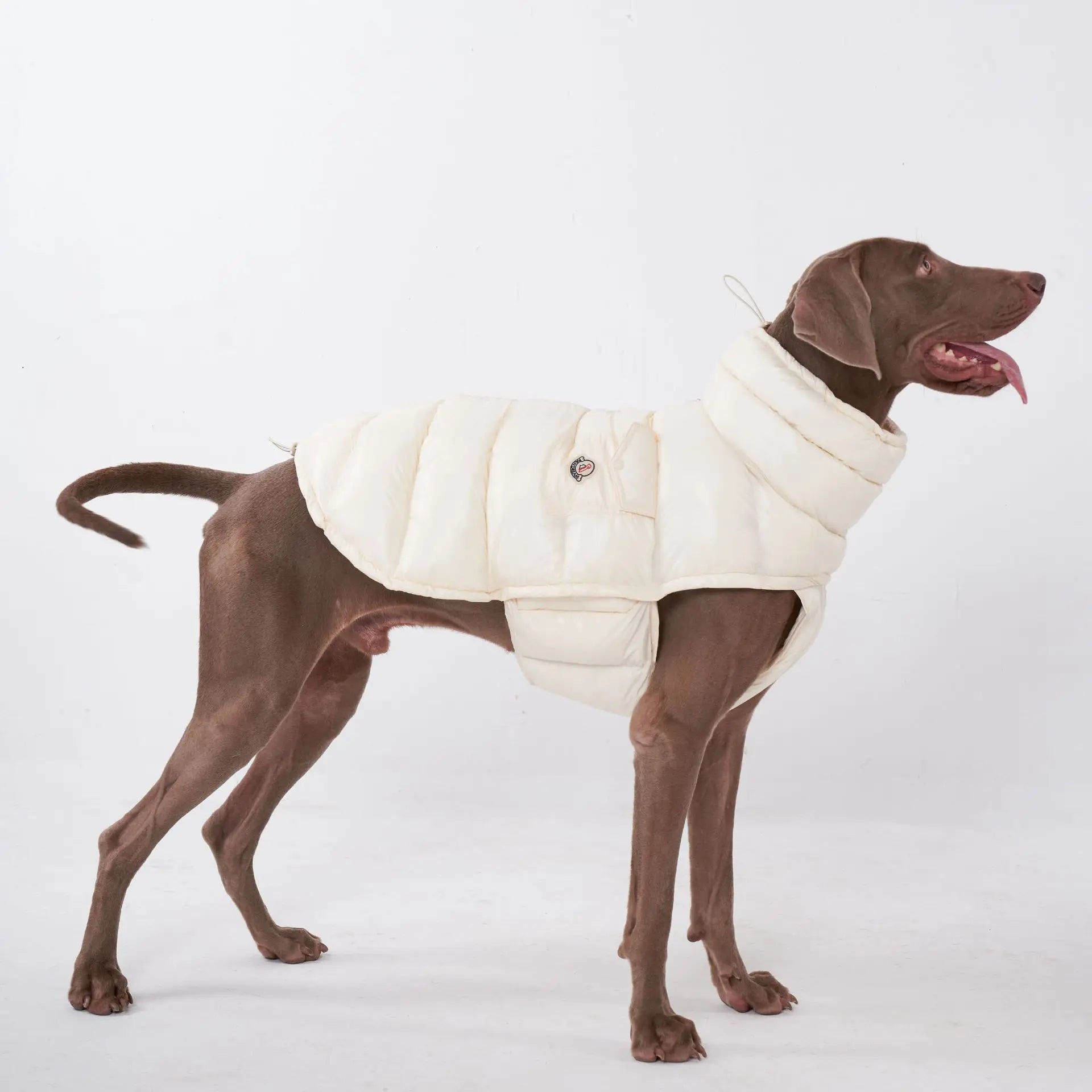 Manteau pour chien Oscar et Plume en beige avec doublure douce et design confortable