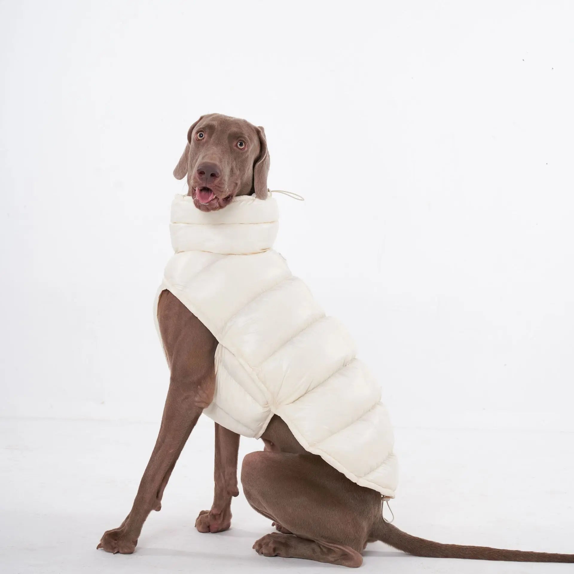 Manteau pour chien Oscar et Plume en duvet blanc pour garder votre animal au chaud