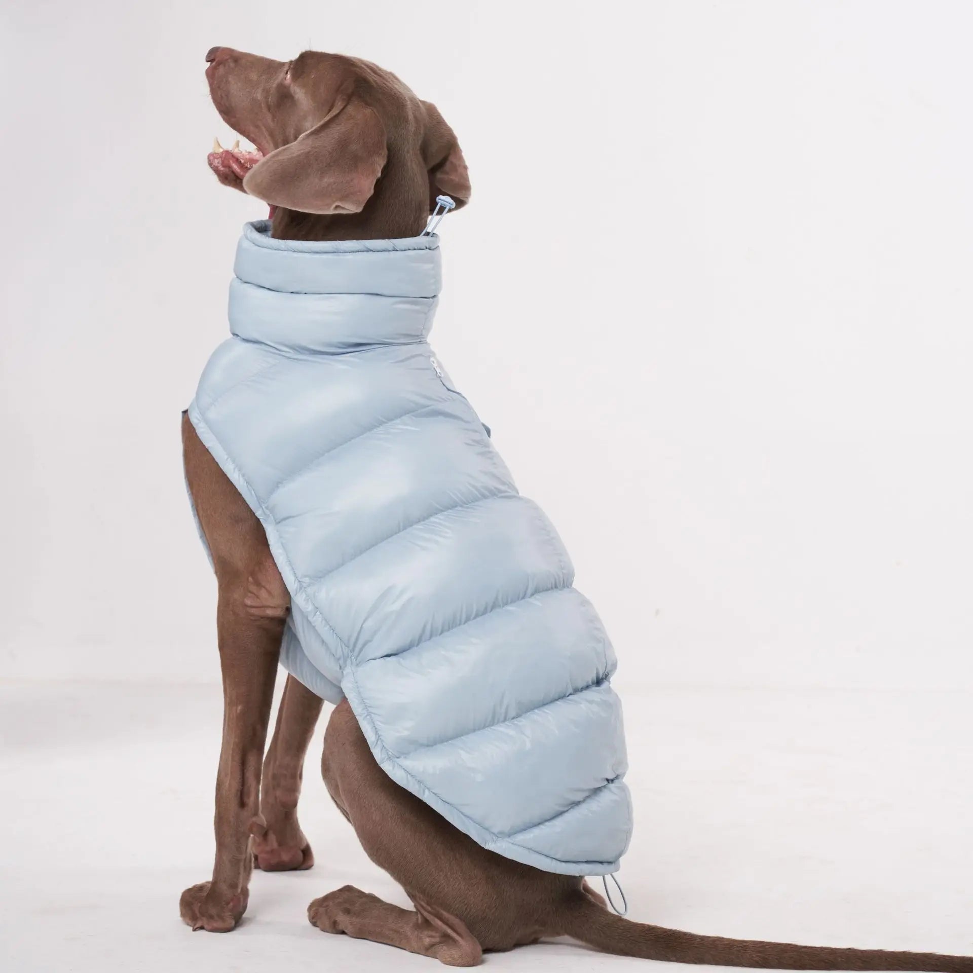 Manteau pour chien en duvet léger bleu clair avec col montant pour l'hiver