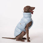 Manteau pour chien Oscar et Plume en bleu clair, parfait pour garder votre animal au chaud