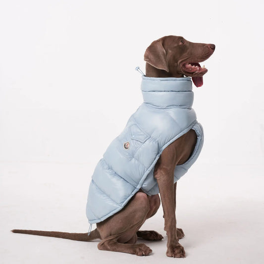 Manteau pour chien Oscar et Plume en bleu clair, parfait pour garder votre animal au chaud