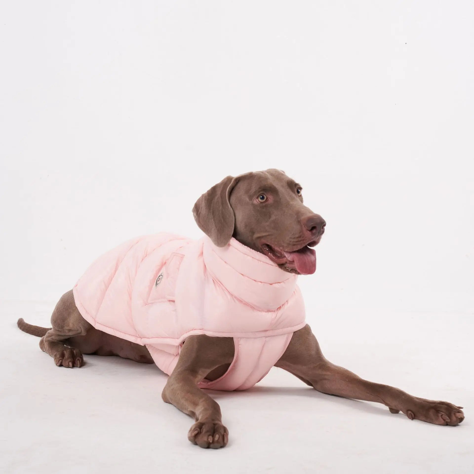 Manteau pour chien Oscar et Plume en rose, doux et chaud, parfait pour les promenades d'hiver