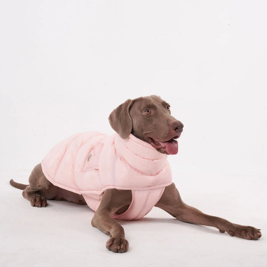Manteau pour chien Oscar et Plume en rose, doux et chaud, parfait pour les promenades d'hiver
