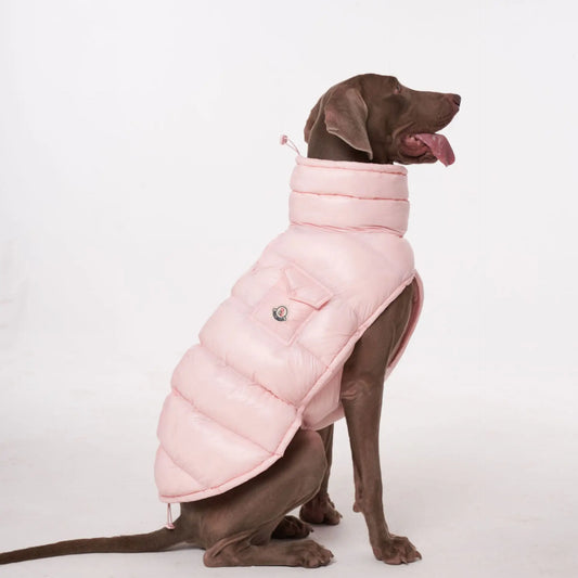 Manteau pour chien rose d'Oscar et Plume, rembourré avec col haut et poches