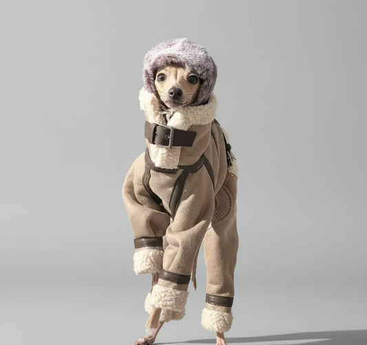 Manteau pour lévrier fausse fourrure avec capuche et ceinture, parfait pour l'hiver.